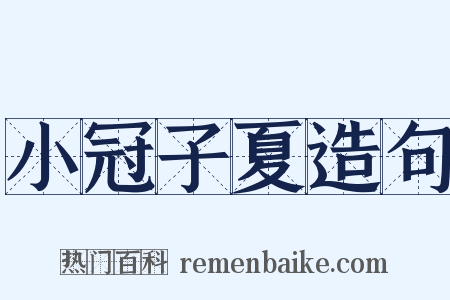 小冠子夏造句是什么意思的图片